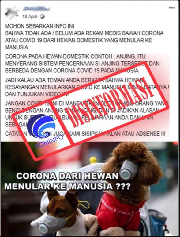 Anjing dan Kucing Tidak Bisa Menularkan Virus Corona
